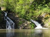 waterfalls-nature-eiffel-hillesheim-1269283.jpg