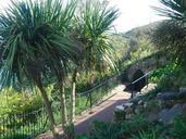 babbacombe-devon-archway-walkway-991297.jpg