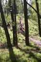 trees-silhouettes-children-trail-86773.jpg