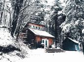 cabin-snow-forest-winter-nature-1081847.jpg