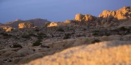 Boulders_near_Jumbo_Rocks_campground.jpg