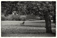 bench-park-park-bench-outdoor-1004553.jpg