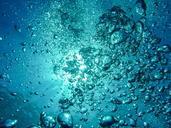 air-bubbles-diving-underwater-blow-230014.jpg