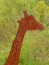 giraffe-animal-metal-fig-358101.jpg