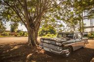 cuba-car-forest-adventure-old-car-1197815.jpg