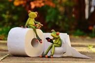 frog-toilet-loo-session-funny-1037261.jpg