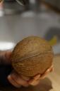 coconut-detention-keep-nut-696534.jpg