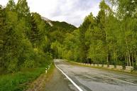 travel-forest-road-summer-green-165070.jpg