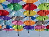 umbrella-color-red-green-yellow-1521492.jpg