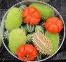 basket-decoration-fruit-juicy-food-217083.jpg