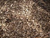 wood-chips-tree-bark-bark-nature-363476.jpg