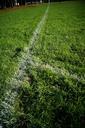 the-pitch-the-court-lines-grass-837108.jpg