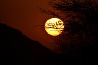 sunset-east-sun-acacia-africa-650620.jpg