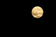 full-moon-moon-night-sky-dark-1234587.jpg