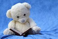 still-life-teddy-white-read-book-1037378.jpg