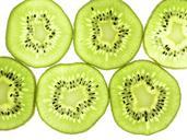 kiwi-fruit-slices-thin-back-lit-580332.jpg