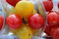 tomatoes-food-vegetables-red-404798.jpg