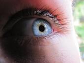 eye-blue-watch-blue-eye-macro-395682.jpg