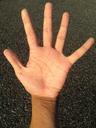 palm-hand-finger-bleaching-1598180.jpg