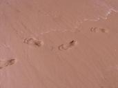 footprints-traces-sand-beach-261397.jpg