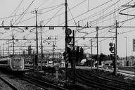 railway-trains-transportation-381224.jpg