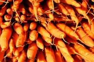 carrots-vegetables-food-nutrition-1623914.jpg