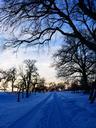 winter-landscape-snow-away-trace-639957.jpg