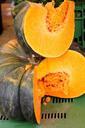 pumpkin-autumn-helloween-gourd-1028202.jpg