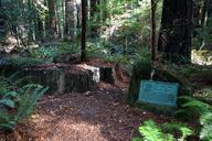 Mahan Plaque - Humboldt Redwoods State Park - DSC02460.JPG