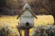 birdhouse-house-green-outside-896259.jpg