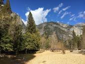 yosemite-national-park-982971.jpg