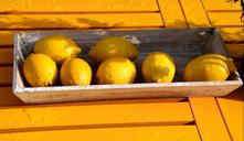 lemons-colorful-fruit-holiday-250633.jpg