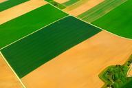 fields-arable-agriculture-green-840250.jpg