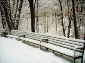 park-benches-bench-snow-ice-289570.jpg