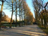 brussels-belgium-sidewalk-walkway-92700.jpg