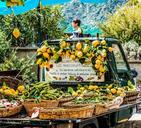 cinque-terre-italy-amalfi-coast-340576.jpg