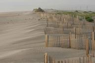 Fence on beach.jpg