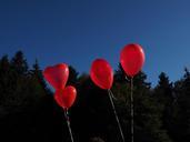 balloons-heart-love-romance-693761.jpg