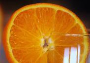 orange-slice-orange-cocktail-glass-505220.jpg