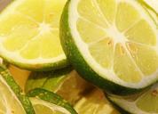 lime-lemons-sour-green-505228.jpg