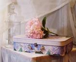 hortense-flower-the-suitcase-1458496.jpg