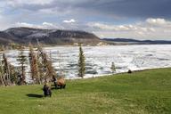 winter-yellowstone-national-park-51650.jpg