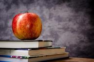 apple-education-school-knowledge-256261.jpg