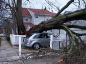 storm-damage-hurricane-wind-843732.jpg