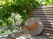 hat-bench-summer-vine-953921.jpg