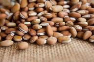 beans-dry-legumes-pulses-bowl-390958.jpg