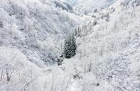 winter-landscape-valley-winter-1149591.jpg