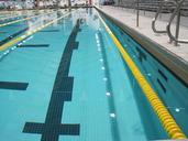 pool-swim-lane-exercise-fitness-545487.jpg