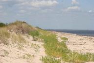 Sand dunes along the beach at prime hook national wildlife refuge.jpg